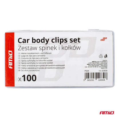 Car Body Clips set 100pcs